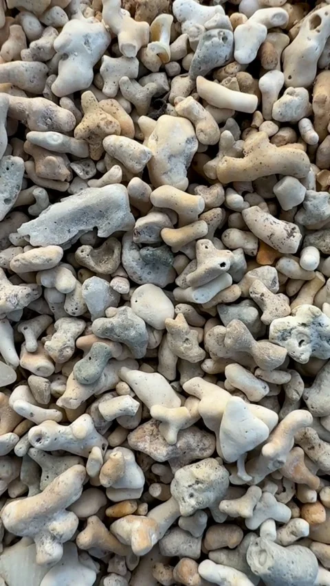 Corral pebbles on the beach, Ireland Stock-Footage 315435152