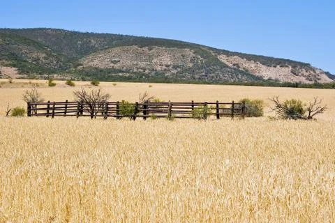 Corral in wheat field Stock Photos