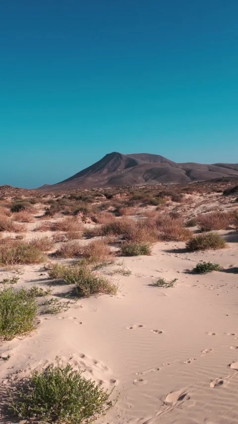 Corralejo 8 Stock Footage 344171409