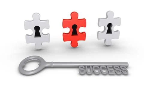 Correct choice for success Stock Illustration