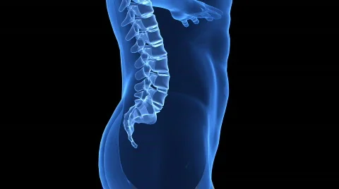 Correct posture concept Stock Footage