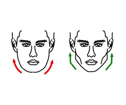Correction of the shape of the face and chin. Stock Illustration