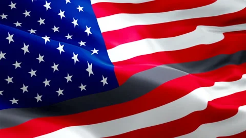 Corrections enforcement flag video waving in wind. Thin Silver Line Flag Stock Footage 106059009