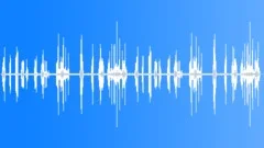 Correndera Pipit And RufousCollared Sound Effect