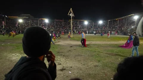 Corrida de toros populares de Pillaro en Ecuador 2023_23.mov Video stock 335699735