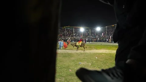 Corrida de toros populares de Pillaro en Ecuador 2023_29.mov Stock Footage 335699802