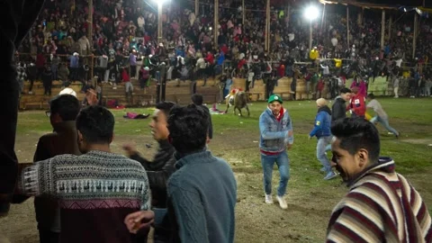 Corrida de toros populares de Pillaro en Ecuador 2023_27.mov Vídeos de archivo 335699803