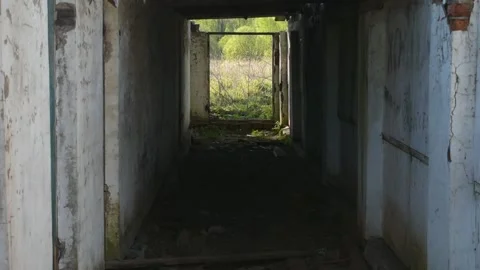 Corridor of an abandoned building with access to the forest Stock Footage 140492510