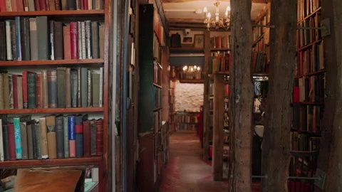 Corridor between shelves in an old bookstore in Paris Stock Footage 249306579