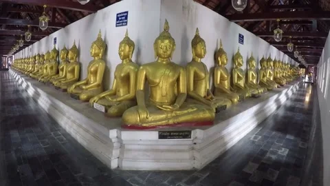 Corridor with Buddha statues Stock Footage 154838430
