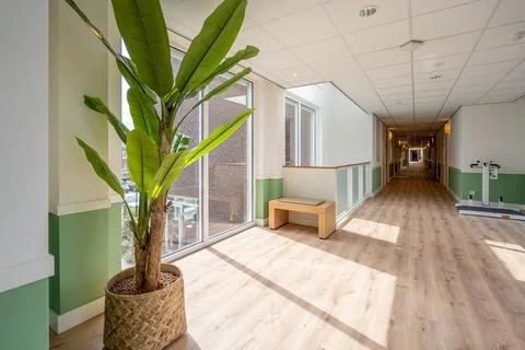 Corridor with doors on both sides. The floor is made of wood and the walls ar Stock Photos