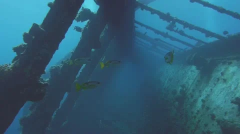 Corridor in sunken ship, red sea Vídeo Stock 11114699