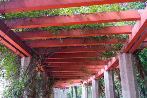Corridor surrounded by columns and under red pergola in park Stock Photos