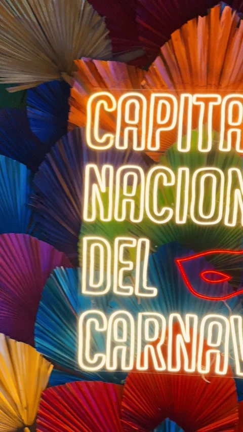 Corrientes Carnaval night parade in Argentina, February 28, 2026 Stock Footage 330060445