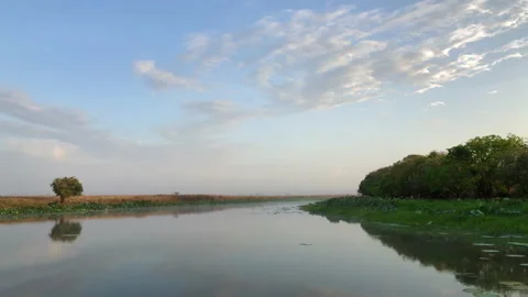 Corroboree Billabong Stock Footage 143620325