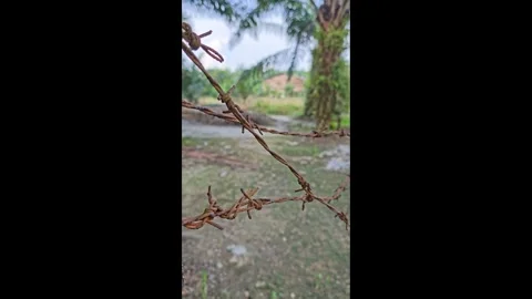 Corroded barbed wire Stock Footage 330508041
