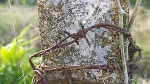Corroded barbed wire Stock Footage 330518133