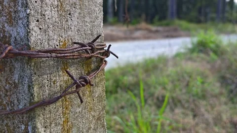 Corroded barbed wire Stock Footage 330518224