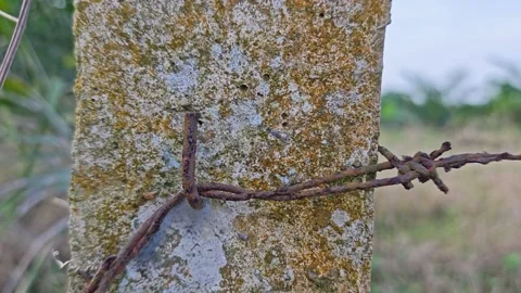 Corroded barbed wire Stock Footage 330518248
