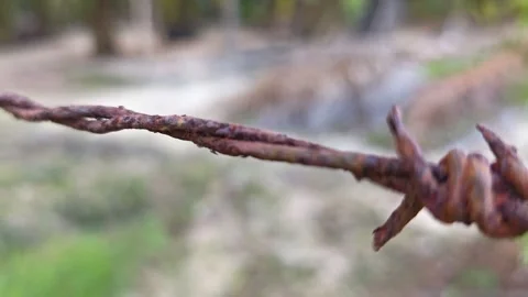 Corroded barbed wire Stock Footage 330518293