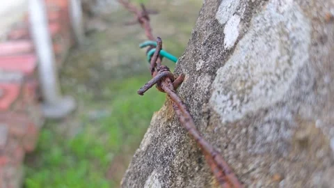 Corroded barbed wire Stock Footage 330518309