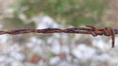 Corroded barbed wire Stock Footage 330518346
