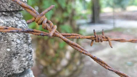 Corroded barbed wire Stock Footage 330518459