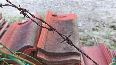 Corroded barbed wire Stock Footage 330518493