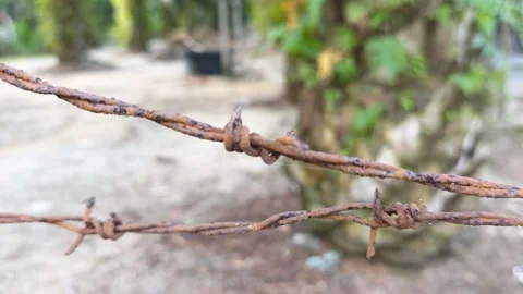 Corroded barbed wire Stock Footage 330518525