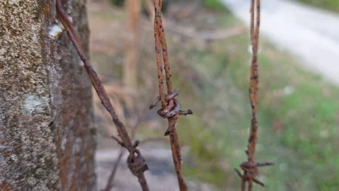 Corroded barbed wire Stock Footage 330518567