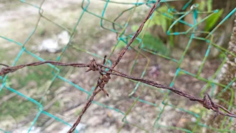Corroded barbed wire Stock Footage 330518609