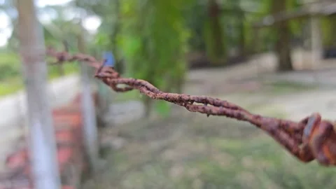 Corroded barbed wire Stock Footage 330518676