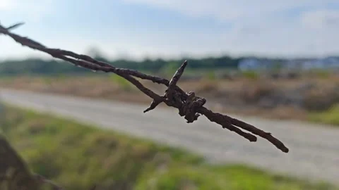 Corroded barbed wire Stock Footage 330518750