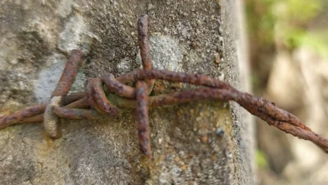 Corroded barbed wire Stock Footage 330518909
