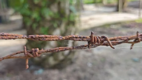 Corroded barbed wire Stock Footage 330519069