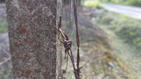 Corroded barbed wire Stock Footage 330519101