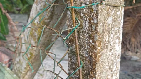 Corroded barbed wire Stock Footage 330519312