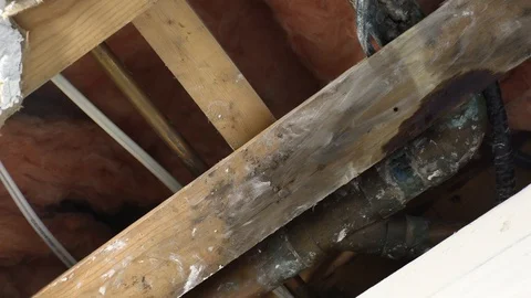 Home Decay Stock Footage ~ Royalty Free Stock Videos | Pond5