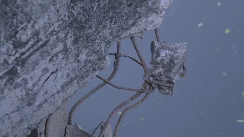 Corroded Metal Detail Stock Footage 338342302