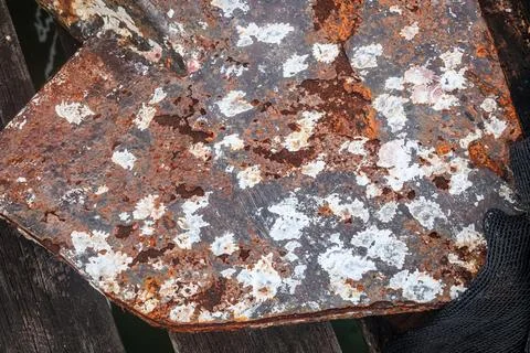 Corroded metal surface with barnacles and rust close up texture 库存照片