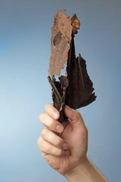 Corrosion Foto stock