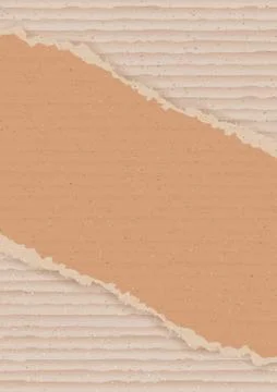 Corrugated cardboard background Illustrazione stock