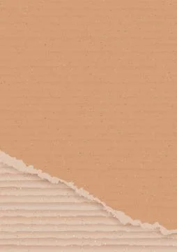 Corrugated cardboard background Stock Illustration