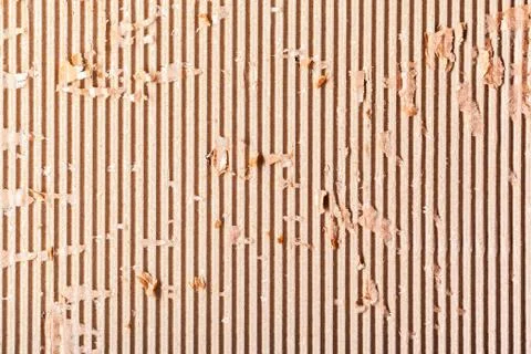 Corrugated cardboard background 写真素材