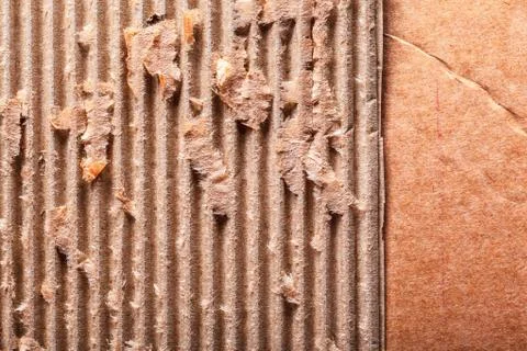 Corrugated cardboard background 写真素材