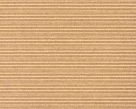 Corrugated cardboard texture. Blank empty cardboard with ridges. Recycled m.. Stock Photos
