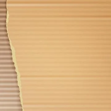 Corrugated Cardboard Vector Background. Realistic Texture Ripped Cardboard 库存插图