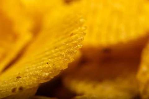 Corrugated potato chips, the texture of the surface. Close up. Stock Photos