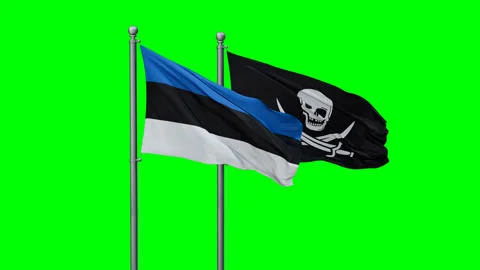 Corsair and Estonia two flags 스톡 동영상 293207592