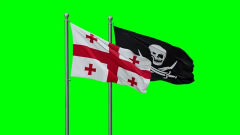 Corsair and Georgia two flags Stock Footage 293208339